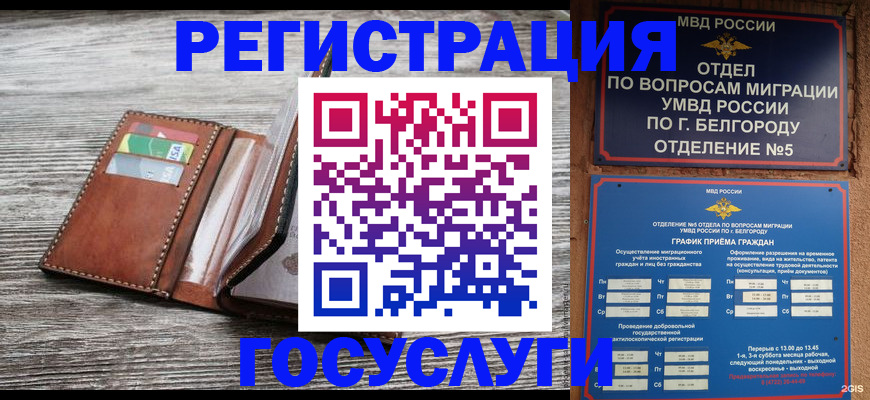 временная регистрация гарантия в Полярном